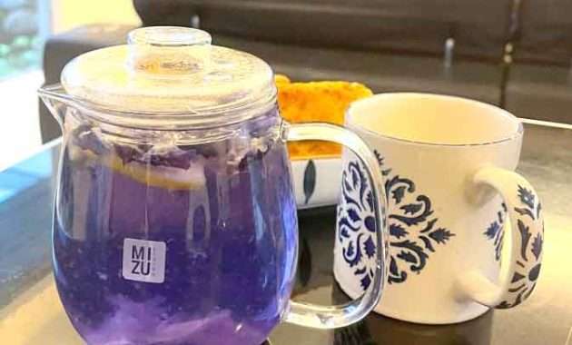 minuman bunga telang