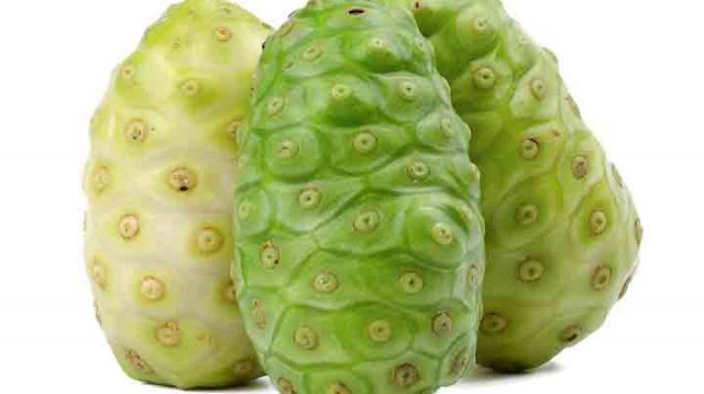 Manfaat-Mengkudu-yang-sudah