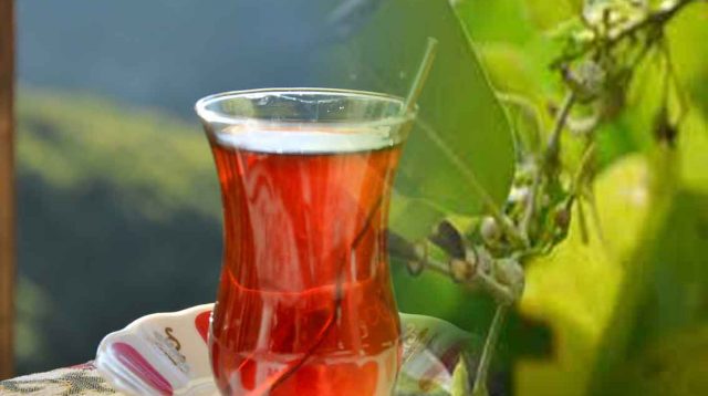 benalu-teh-untuk-kesehatan