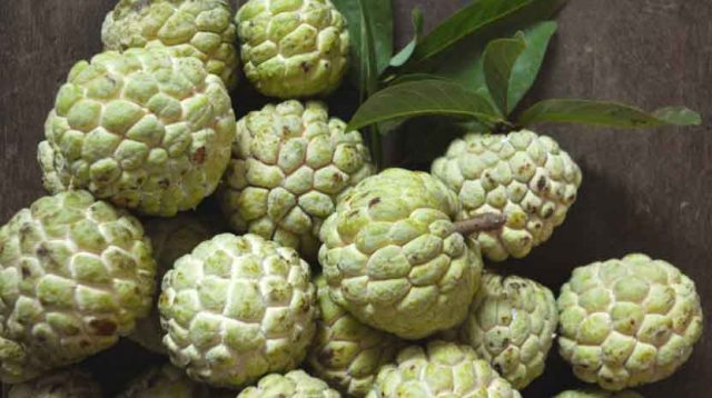 5 Manfaat Buah Srikaya bagi ibu hamil dan janin