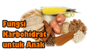 Fungsi Karbohidrat untuk Anak