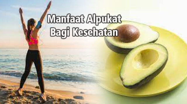 Manfaat Buah Alpukat bagi Kesehatan Tubuh