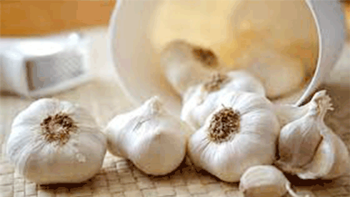 Manfaat bawang putih untuk kista teroma